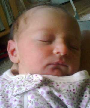 Lettie